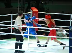 拳击赛场再起风云：钱塘风暴队火力全开川蜀烈马队，新援首秀制胜。
